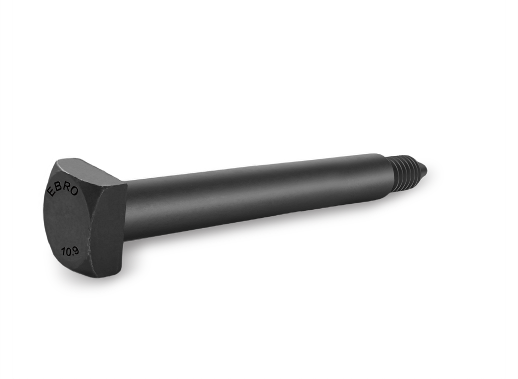 Socket Head Cap Screws
